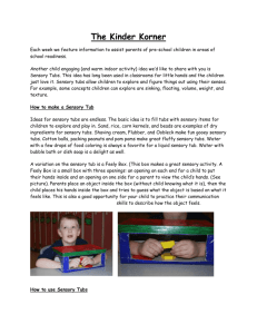 Sensory tubs - Canton Area School District