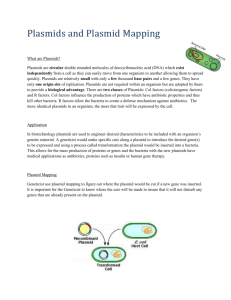 Plasmids and Plasmid Mapping Handout