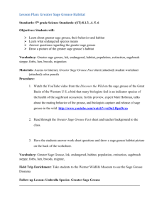 LessonPlan: Sage Grouse (Word doc)