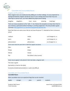 Countable and Uncountable Nouns