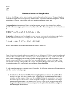 Photosynthesis and Respiration Creative Writing Assignment