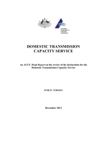 DOMESTIC TRANSMISSION CAPACITY SERVICE