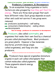 Producers, Consumers & Decomposers guided notes