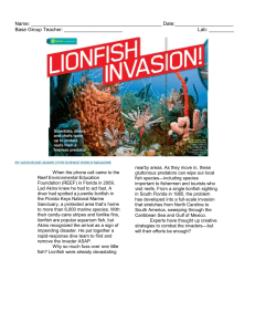 Lion Fish Invasion!