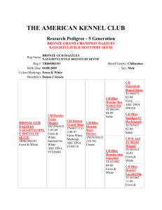 THE AMERICAN KENNEL CLUB Research Pedigree