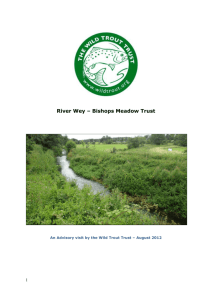 Report on the state of the River Wey flowing though the Meadows