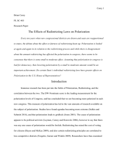 The Effects of Redistricting Laws on Polarization