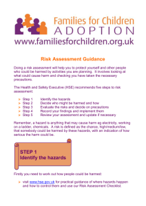 Risk Assessment Guidance - Families for Children Trust