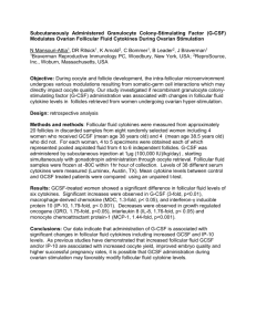 (G-CSF) Modulates Ovarian Follicular Fluid Cytokines During An In