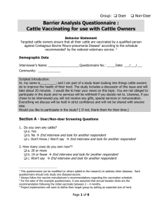 Bovine Pleuropneumonia Disease Vaccination for Cattle BA