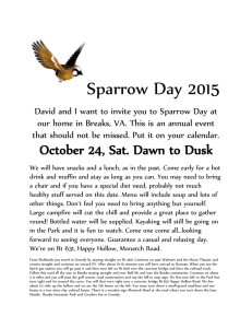 Sparrow Day 2015