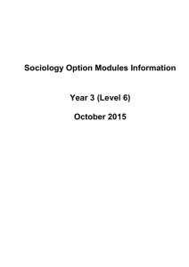 Sociology Option Modules Information Year 3 (Level 6)