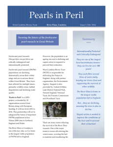PiP Newsletter February 2014