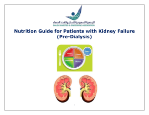 Nutrition Guide for Patients with Kidney Failure (Pre