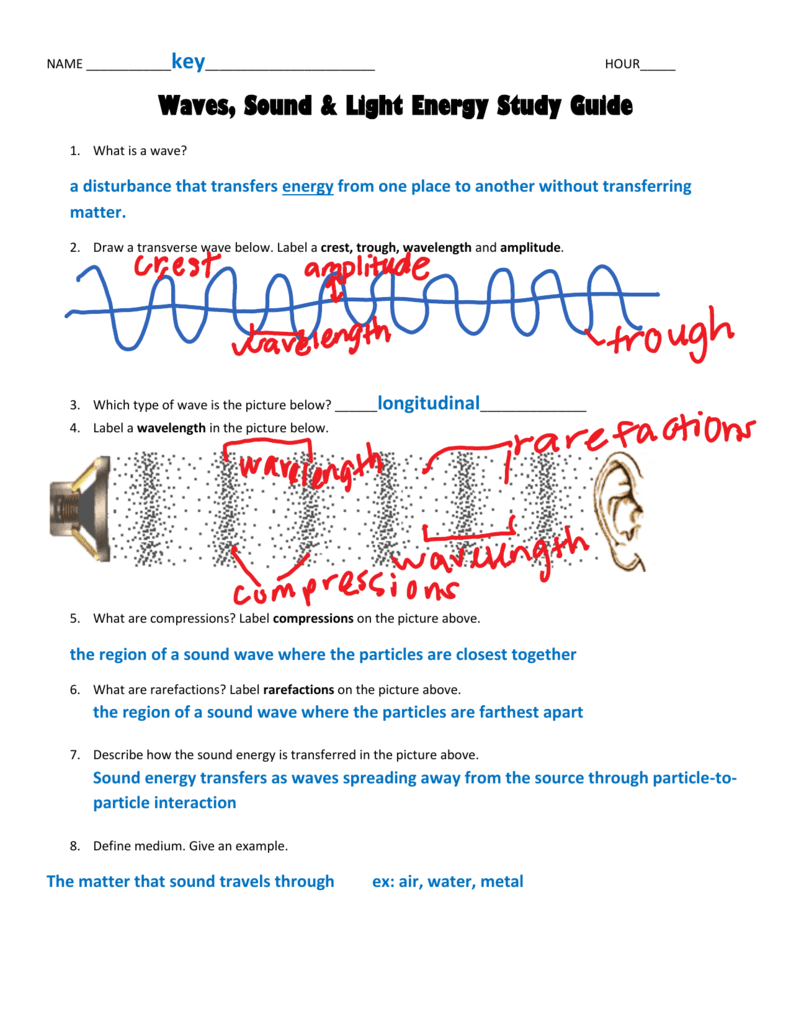 Study Guide ANSWER KEY