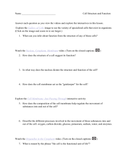 Cell Structure and Function Vocabulary