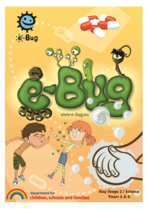 Farm activity - Booklet - e-Bug