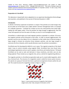 Ferrofluids lab handout (Word)