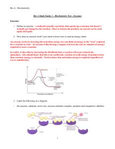 (Enzyme Study Guide) ANSWERS