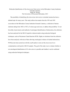 Molecular Identification of Mycobacterium Tuberculosis