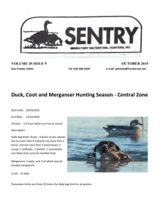 October - Migratory Waterfowl Hunters, INC.
