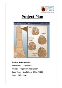 The Project Plan