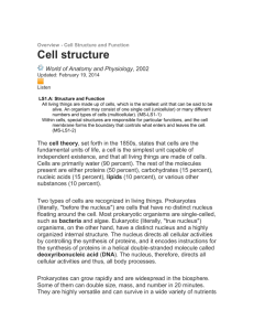 Cell structure World of Anatomy and Physiology