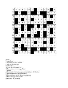 2014 Spring/Summer Crossword solution