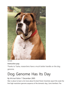 Dog Genome Has Its Day - Home All Things Canid.org