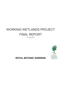 Working Wetlands Project Final Report