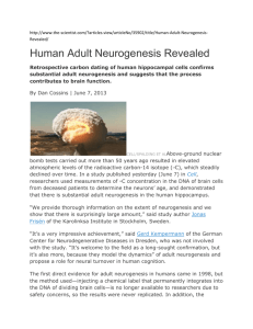Human Adult Neurogenesis Revealed