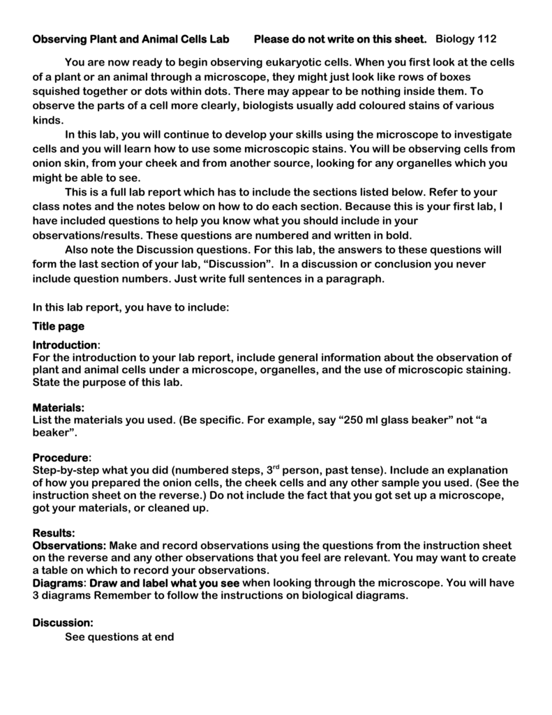 Lab Report On Plant Cell Walls