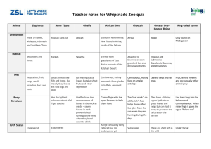 Teacher notes for ZSL Whipsnade Zoo quizzes
