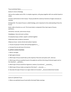 Tissue worksheet Name__________________ Section A: Intro to
