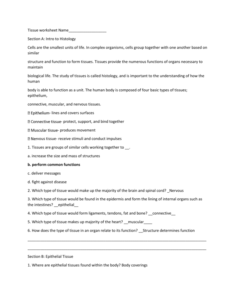 Tissue Chart Worksheet Answers