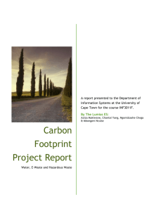 Carbon Footprint Project Report - Vula
