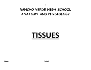 Tissues Packet - ms. tuldanes` science class