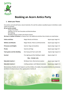 Booking an Acorn Antics Party Select your Theme