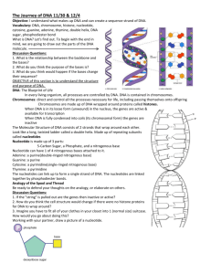 The Journey of DNA 11-30–12-4
