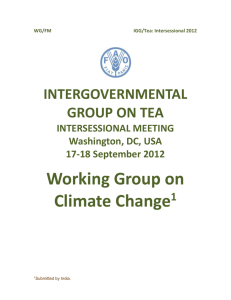 Working Group on Climate Change