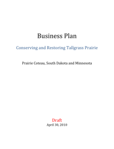 What Is A business Plan?
