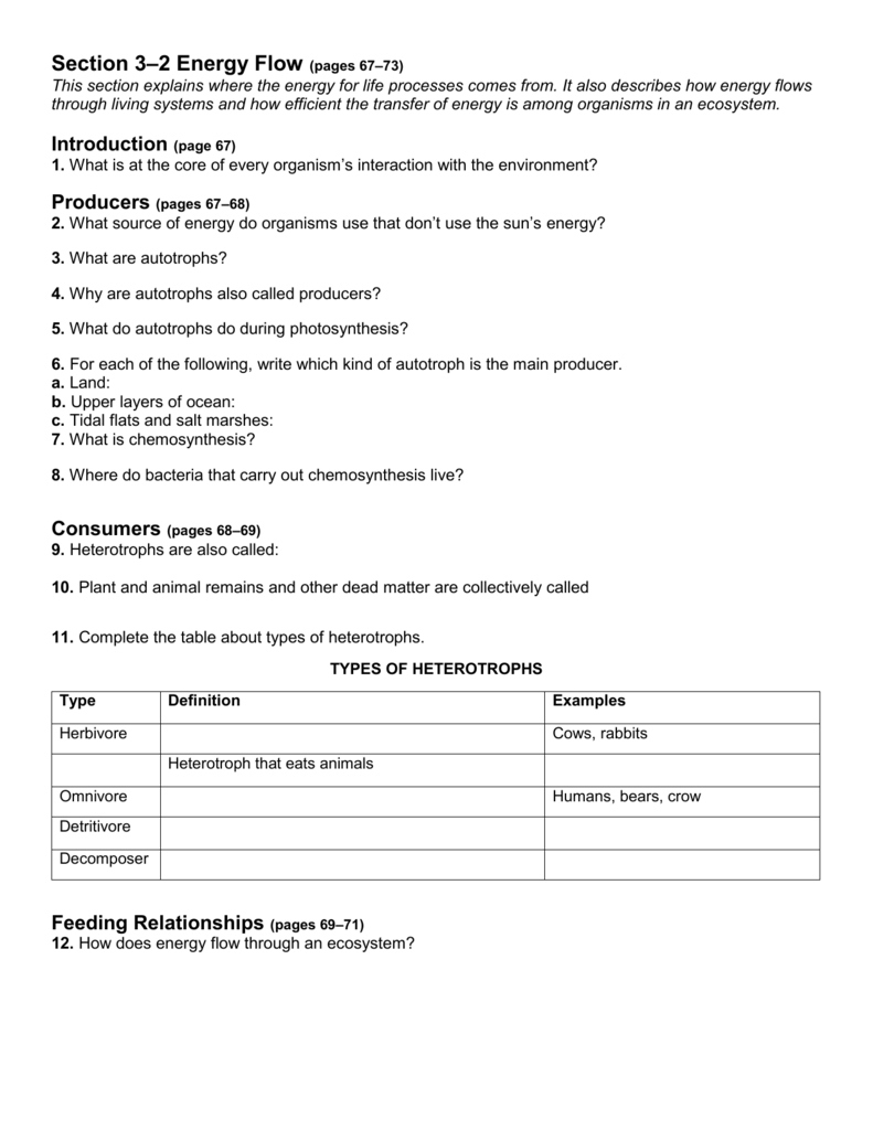 Energy Flow In Ecosystems Worksheet