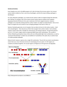 Somatic cell cloning Even though we are not in the BMS program