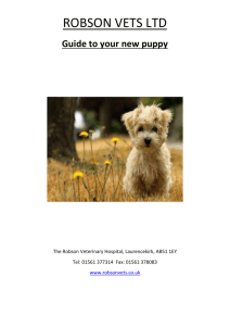 Puppy website