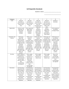 Cell Story Rubric