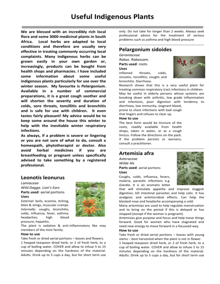 useful-indigenous-plants