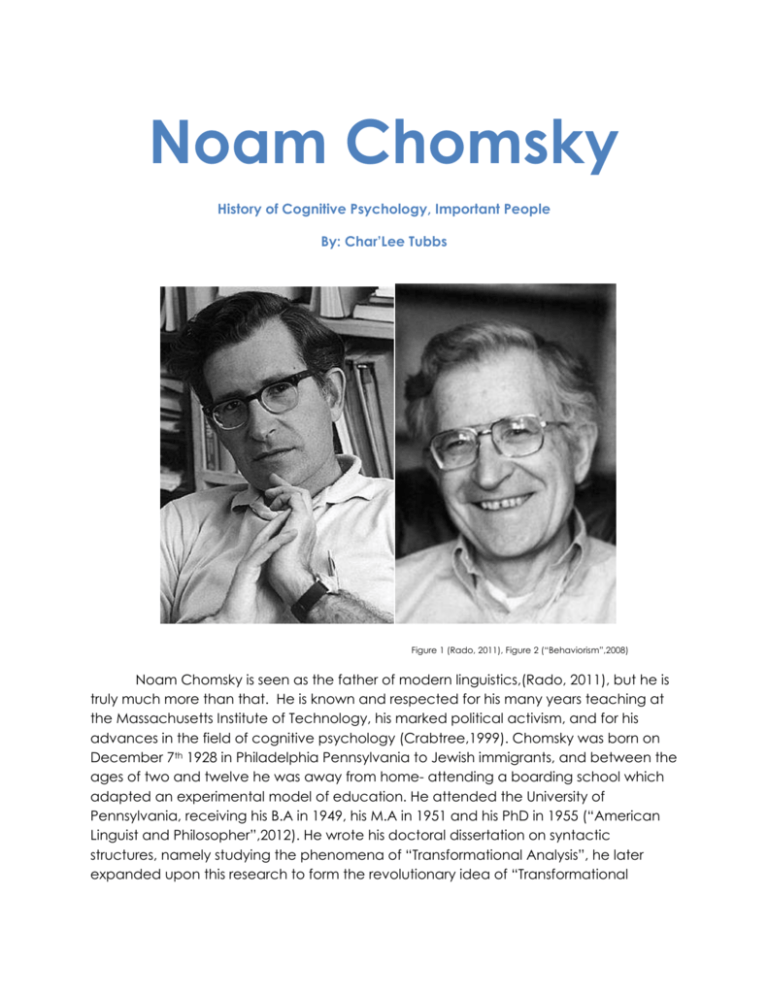 noam chomsky essays