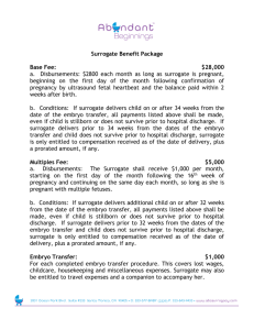 Surrogate Lost Wages