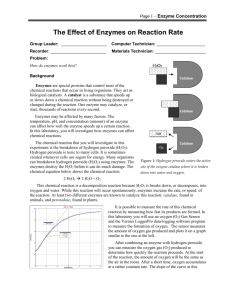 11-04-2009 B6.2 LAB Enzyme Activity