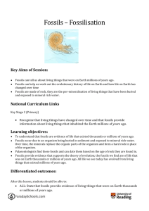 Year6-fossils - FaradaySchools